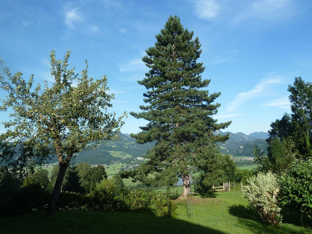 Pension Schone Aussicht Kuchl Exteriör bild