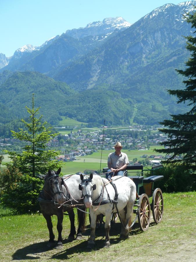 Pension Schone Aussicht Kuchl Exteriör bild